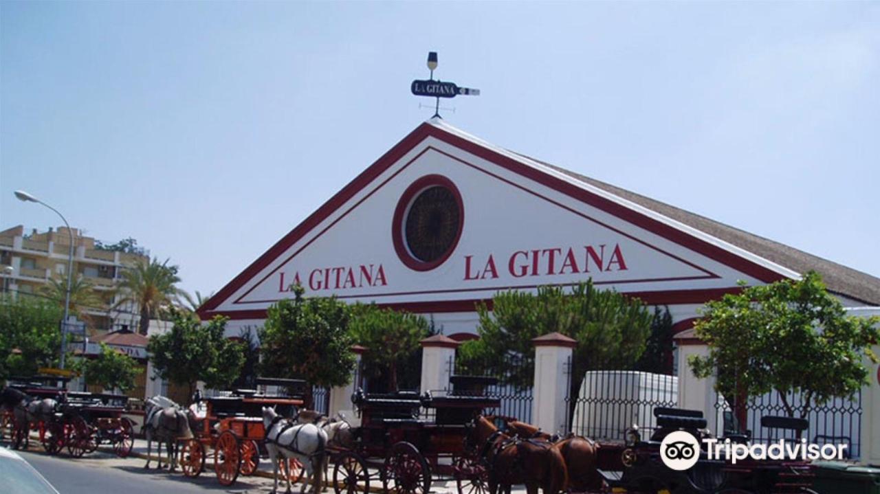 Convento De La Victoria Junto Al Cabildo Con Wifi Y Parking Gratis Διαμέρισμα Sanlúcar de Barrameda Εξωτερικό φωτογραφία